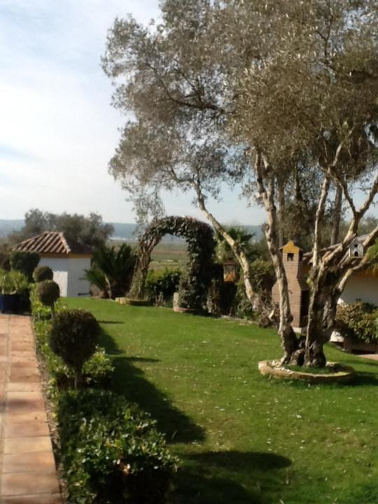 Casa Las Ciguenas Διαμέρισμα Vejer de la Frontera Εξωτερικό φωτογραφία