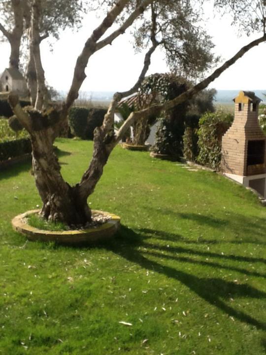 Casa Las Ciguenas Διαμέρισμα Vejer de la Frontera Εξωτερικό φωτογραφία