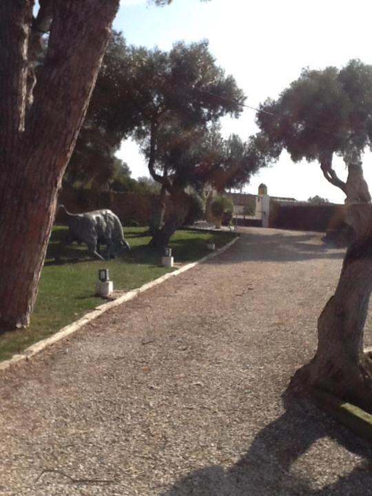 Casa Las Ciguenas Διαμέρισμα Vejer de la Frontera Εξωτερικό φωτογραφία